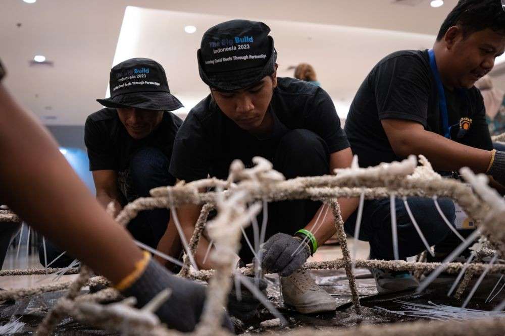 Restorasi Terumbu Karang Kunci Masa Depan Masyarakat Pesisir