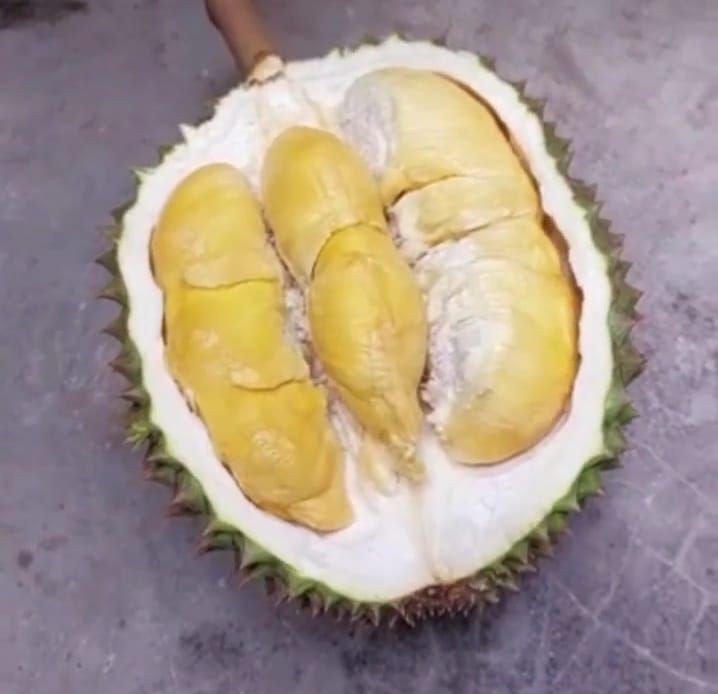 5 Tempat Makan Durian di Jogja, Legit dan Garansi Enak