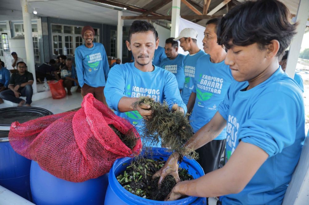 Produksi Komoditas Rumput Laut Kaltim Mencapai 4.698 Ton