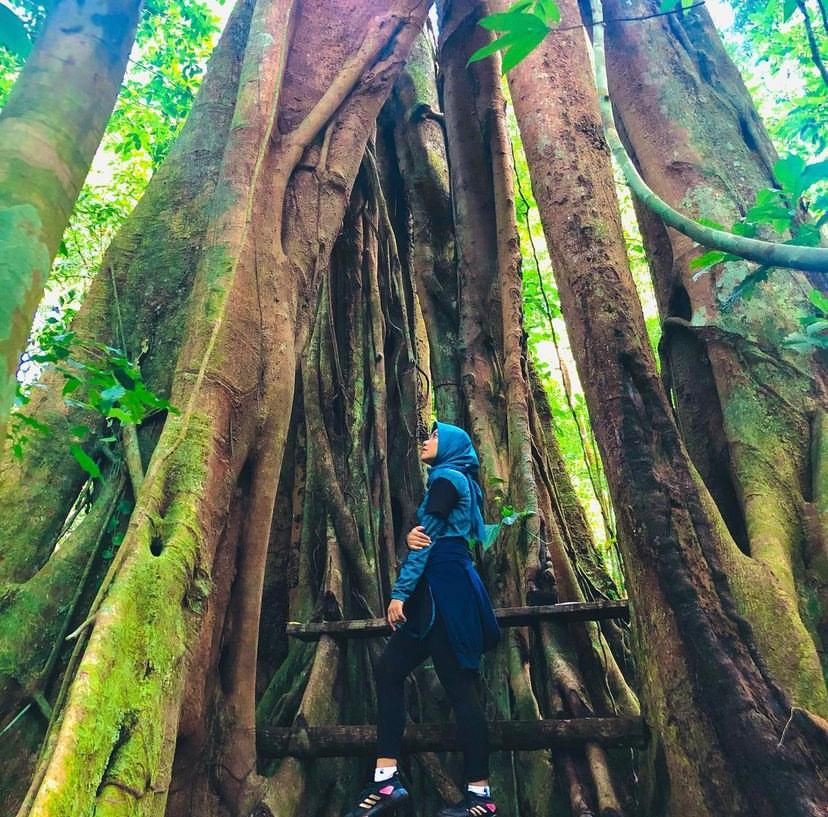 11 Potret Air Terjun Way Kalam, Tempat Wisata Murah Meriah di Lampung