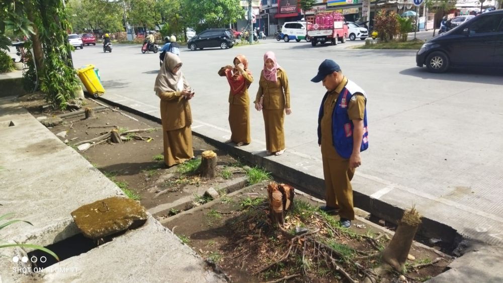 DLH Makassar Kembali Temukan Penebangan Pohon Tanpa Izin