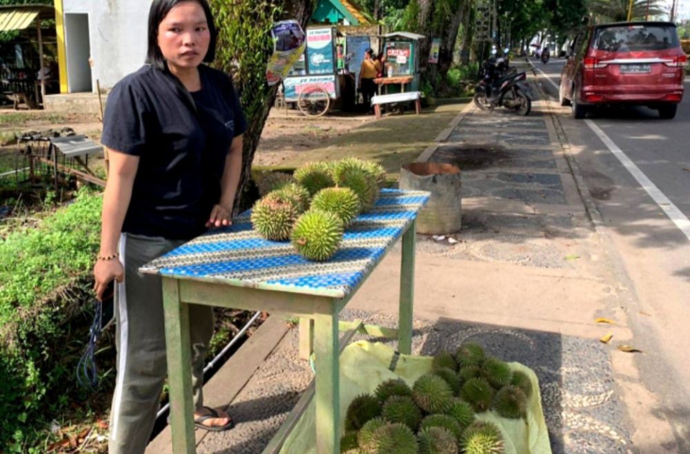 Dian Imbe, Durian Hutan Khas Muba Tanpa Ruas Mulai Langka