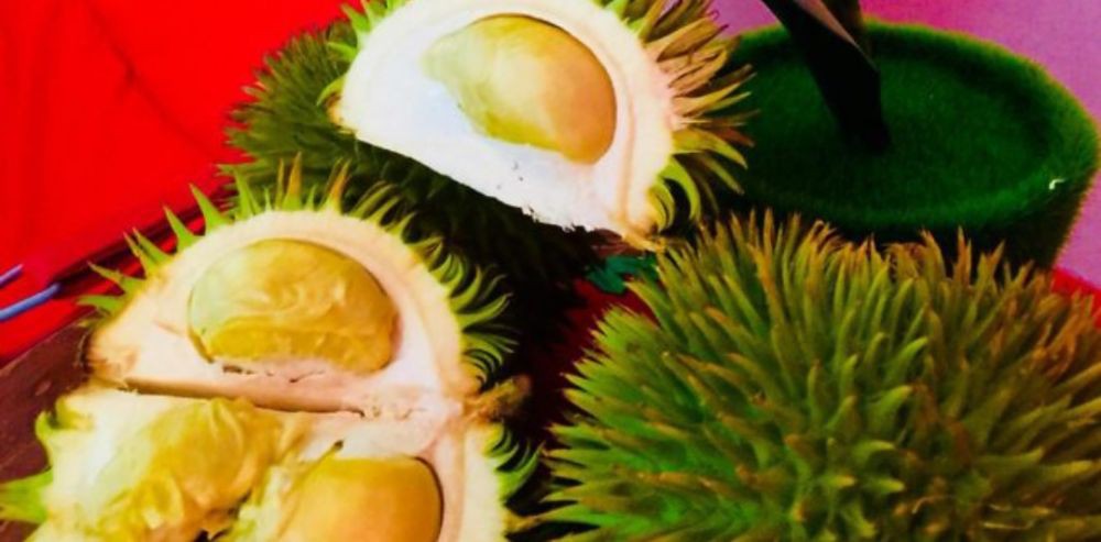 Dian Imbe, Durian Hutan Khas Muba Tanpa Ruas Mulai Langka