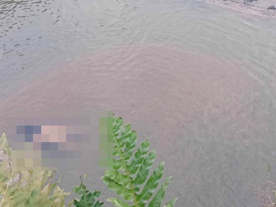 Heboh Mayat Wanita tanpa Busana Mengapung di Sungai Palopo