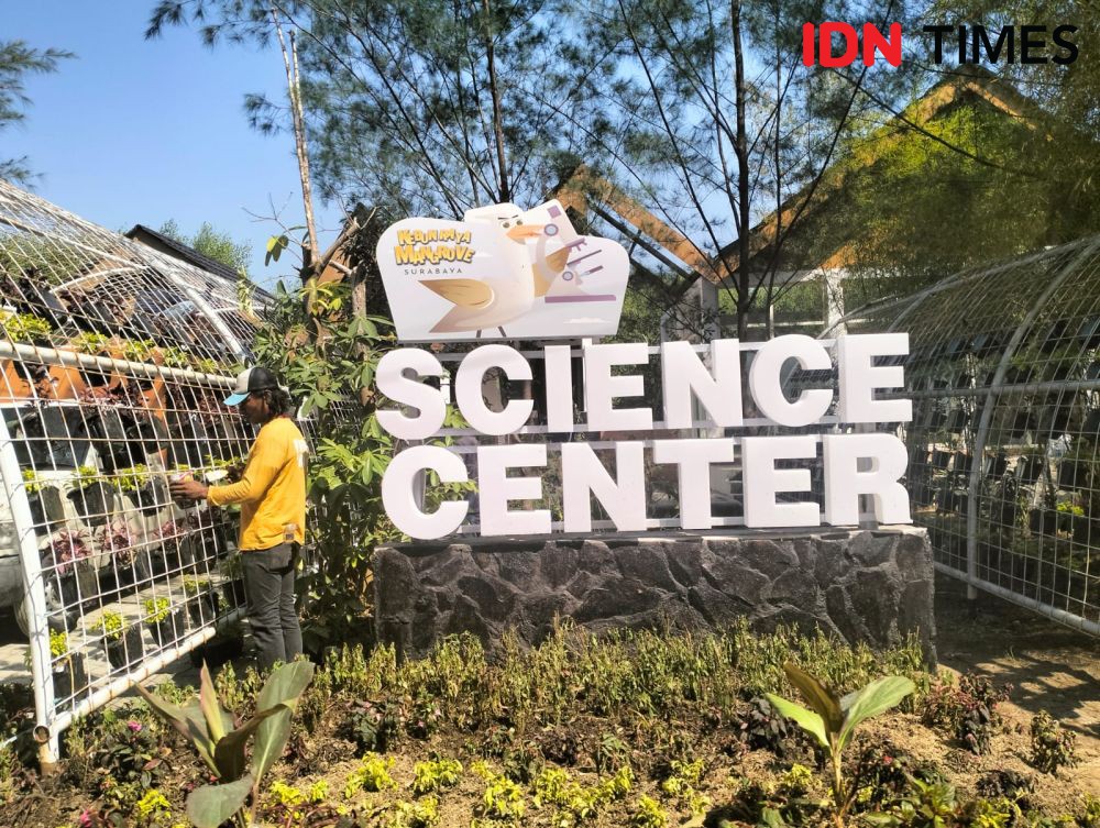 Megawati Akan Resmikan Kebun Raya Mangrove Surabaya