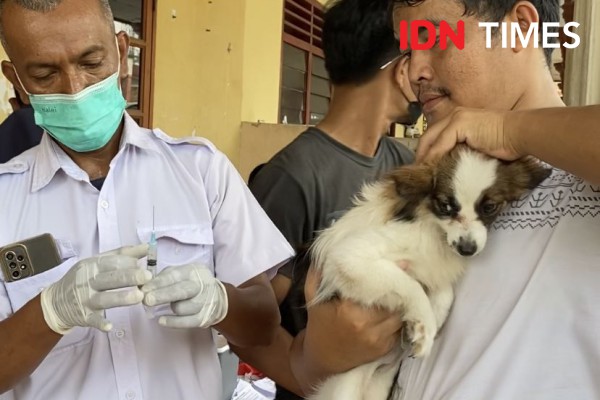 Antisipasi Penyakit Rabies, Ratusan Hewan Peliharaan Disuntik Vaksin