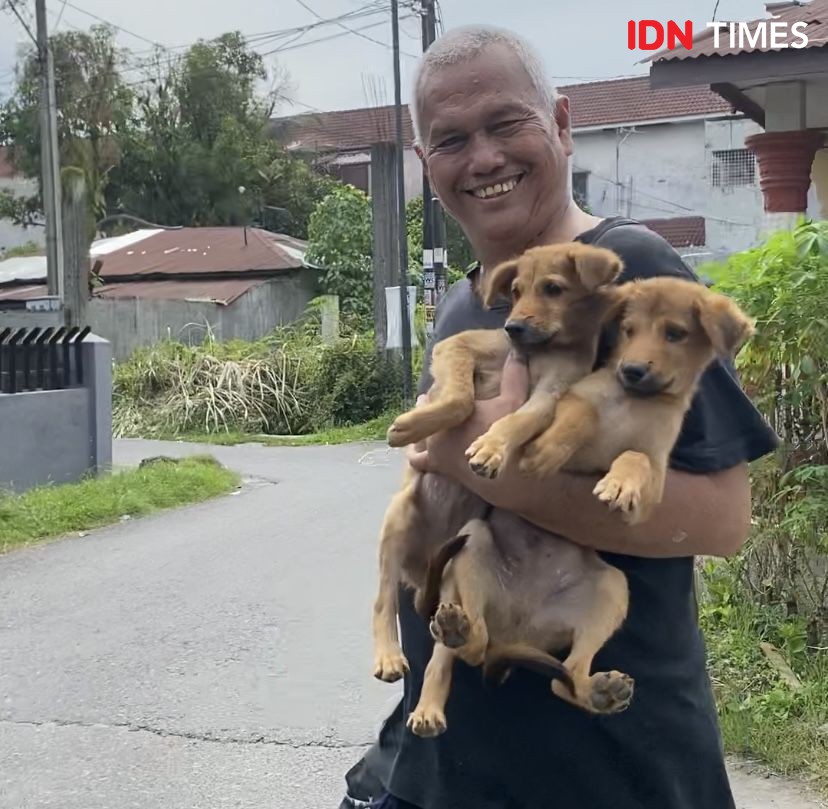 10 Potret Lucu Hewan Peliharaan saat Vaksinasi Rabies Gratis di Medan