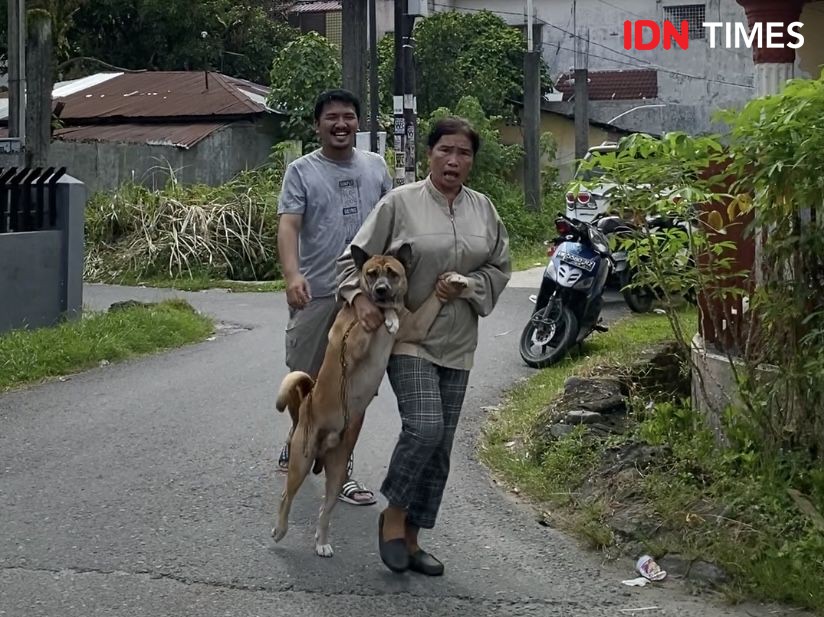 10 Potret Lucu Hewan Peliharaan saat Vaksinasi Rabies Gratis di Medan