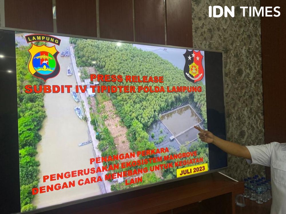 Sulap Hutan Mangrove jadi Tambak Udang, Warga Lampung Diciduk Polisi