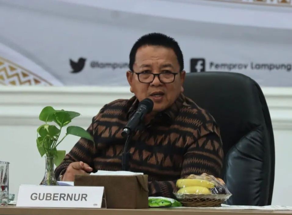 Ngeri! 4 Ribu Hektare Hutan dan Lahan di Lampung Terbakar