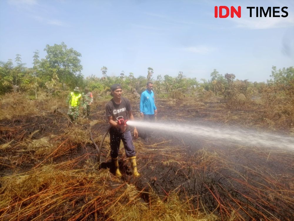 Sepekan Terakhir Kebakaran Hutan dan Lahan di Aceh Capai 18,5 Hektare
