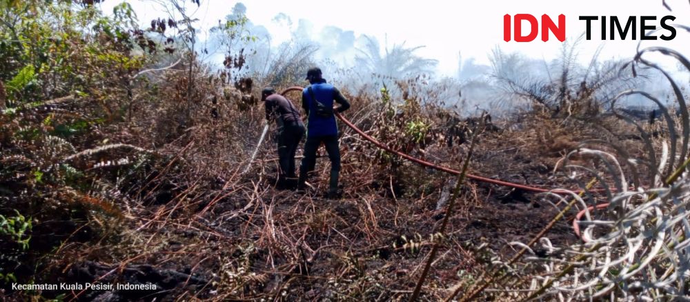 Sepekan Terakhir Kebakaran Hutan dan Lahan di Aceh Capai 18,5 Hektare