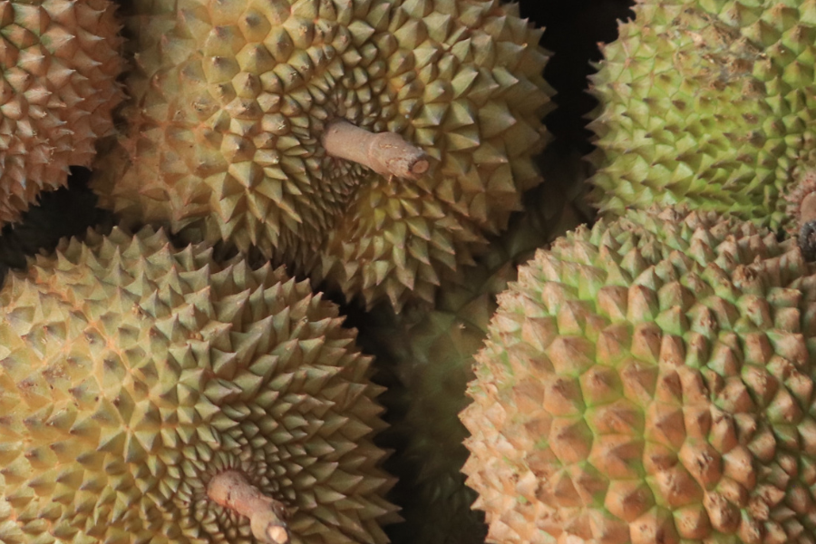 [QUIZ] Yakin Kamu Bisa Membedakan Buah Durian dan Nangka Ini?