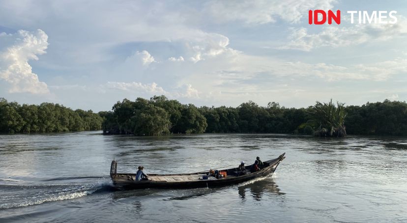 Cerita Nila Jadi Nelayan Perempuan Pencari Kerang di Belawan