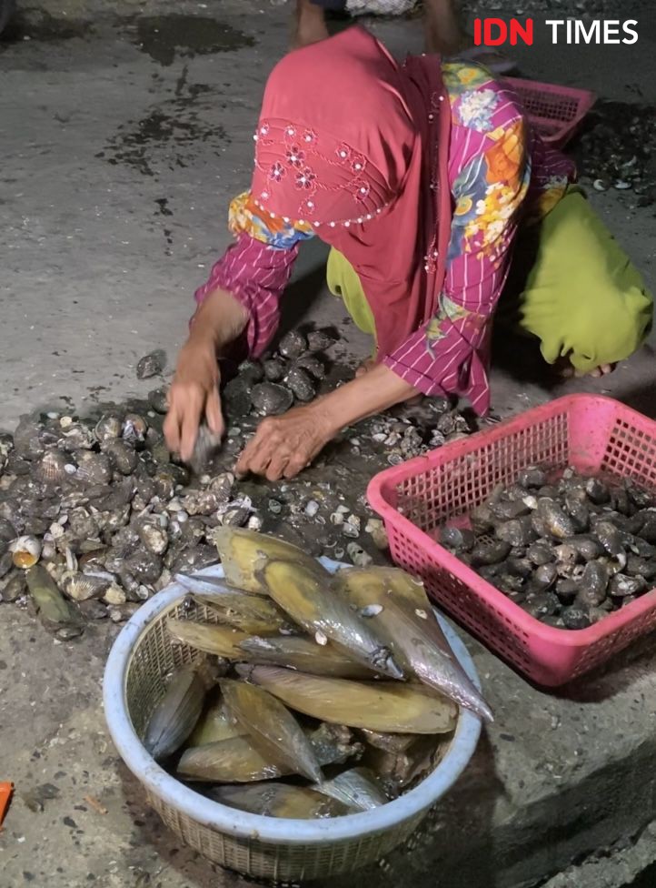 Cerita Nila Jadi Nelayan Perempuan Pencari Kerang di Belawan