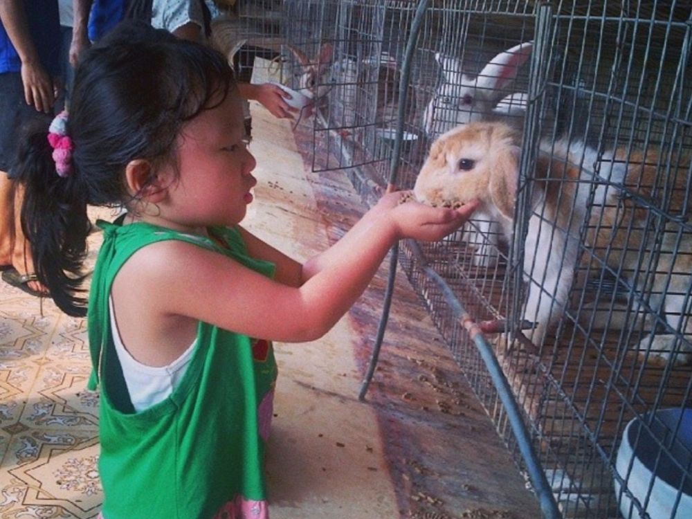Rekomendasi Kebun Binatang Mini di Tangerang, Anak Happy~