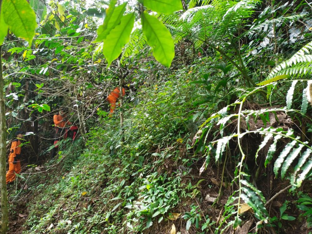 Kakek 80 Tahun di Tana Toraja Hilang saat Berkebun Ditemukan Meninggal
