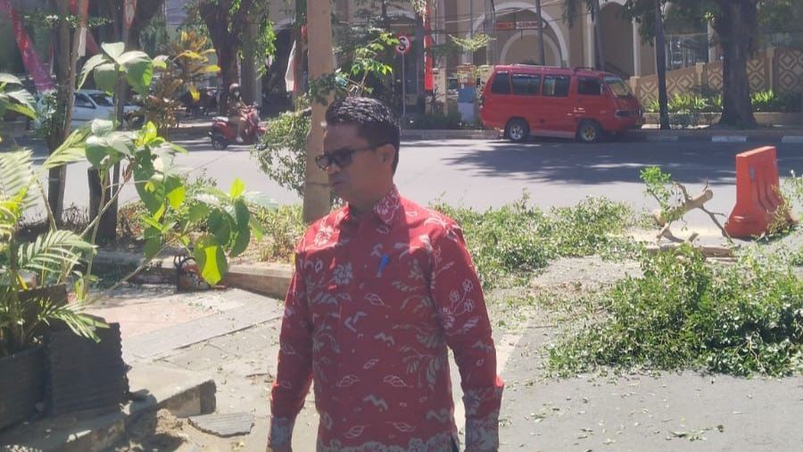 DLH Makassar Kembali Temukan Penebangan Pohon Tanpa Izin