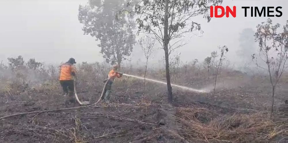 Diduga akan Buka Lahan Pertanian, Pembakar Hutan di Kalbar Ditangkap