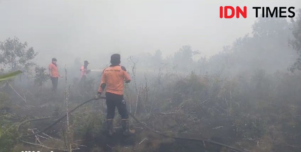 Ibu Rumah Tangga di Kalbar Tewas Terjebak Api Kebakaran Hutan