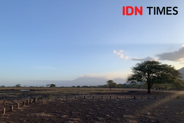 Kebakaran Lagi, Taman Nasional Baluran Ditutup hingga 30 September