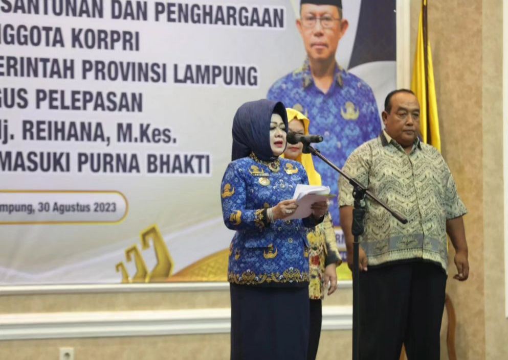 Sayonara! Reihana Pensiun Lepas Jabatan Kadinkes Lampung 14 Tahun