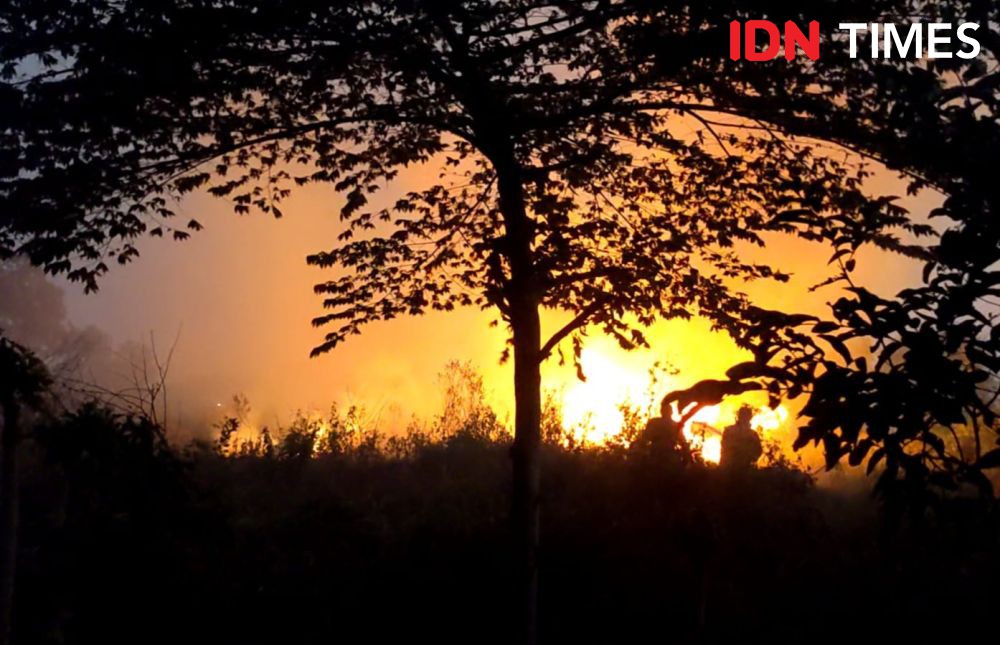 Ngeri! 63 Hektare Lahan Bandar Lampung Terbakar Kurun 2 Bulan