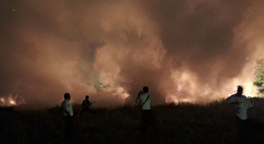 Lahan Satu Hektare di Perumahan Elite Citraland Terbakar