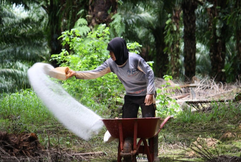 Definisi, Penyebab, dan Dampak Negatif Pencemaran Tanah