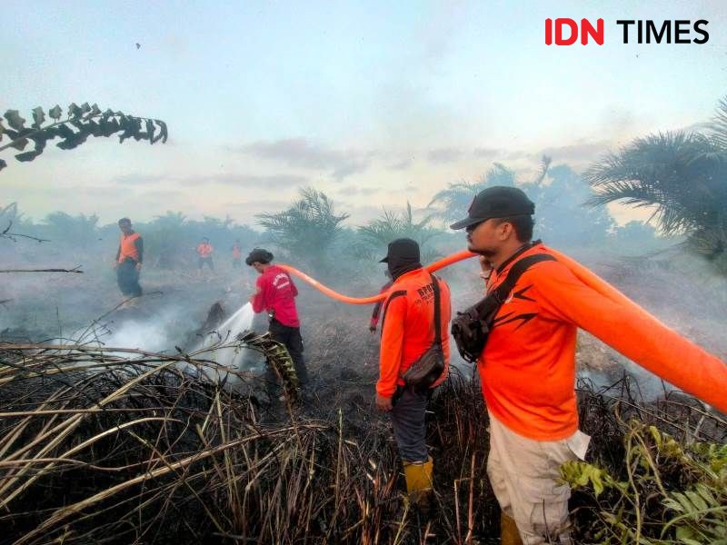 20 Hektare Lahan di Kelurahan Petung PPU Hangus Terbakar 