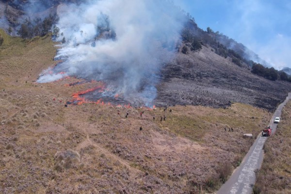 Karhutla Gunung Bromo, Pintu Masuk Via Pasuruan Ditutup