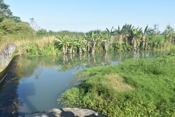 Mantap! Petani di Klaten Bikin Relawan Irigrasi untuk Atasi Kekeringan