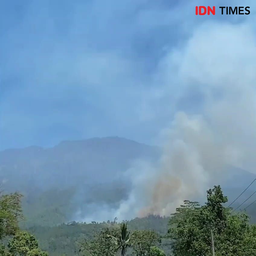 Hutan di Lereng Gunung Lawu Ngawi Kembali Terbakar