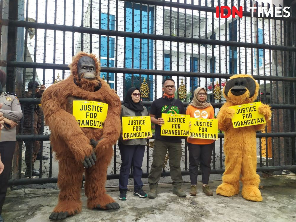 Vonis Terbit Rencana Ringan, 'Orangutan' Mengadu ke Kejati Sumut