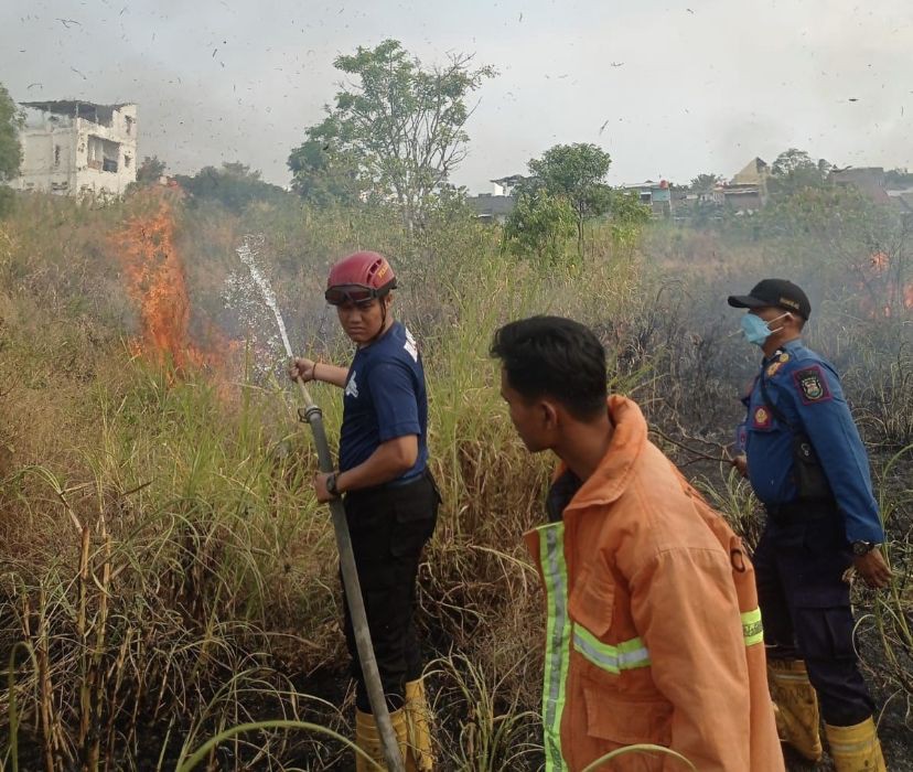 Ngeri! 63 Hektare Lahan Bandar Lampung Terbakar Kurun 2 Bulan