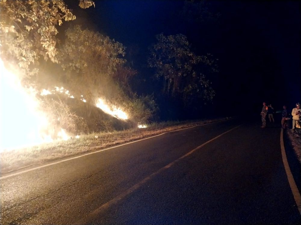 Kebakaran Hutan dan Lahan Terjadi di Sejumlah Titik di Sulawesi Utara