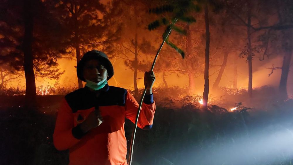 Kebakaran Hutan dan Lahan Terjadi di Sejumlah Titik di Sulawesi Utara