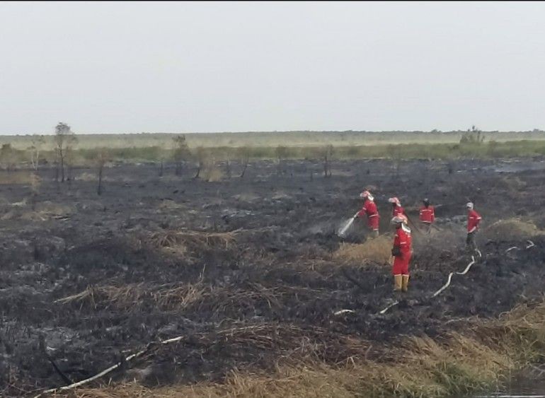 Ratusan Hektar Lahan OKI Terbakar Timbulkan Kabut Asap di Palembang
