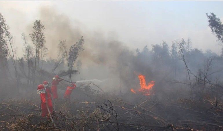 Kebakaran Lahan Gambut di OKI Juga Hanguskan 2 Rumah Warga