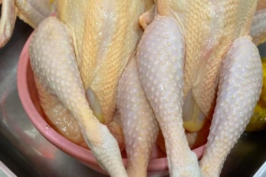 [QUIZ] Apakah Kamu Bisa Membedakan Ayam Kampung dan Ayam Broiler Ini?