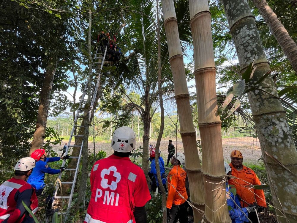 Warga Gempar, Mbah Asrofi Meninggal di Pohon saat Panen Jengkol