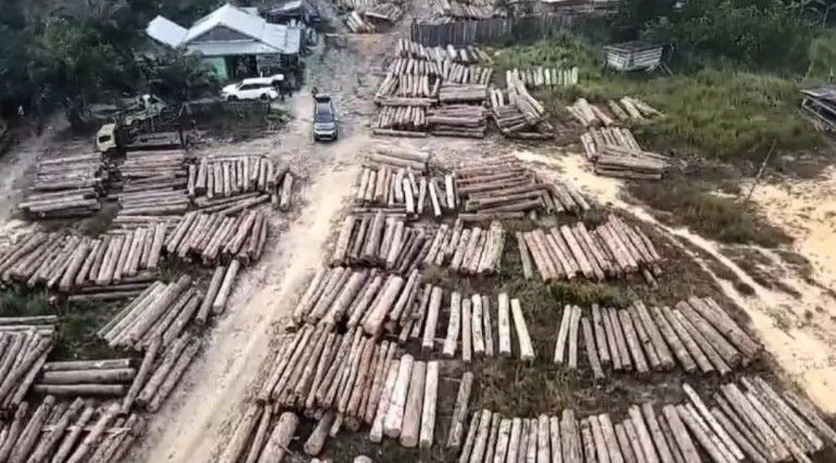 Polda Sumsel Gerebek Gudang 700 Batang Kayu dari Pembalakan Liar