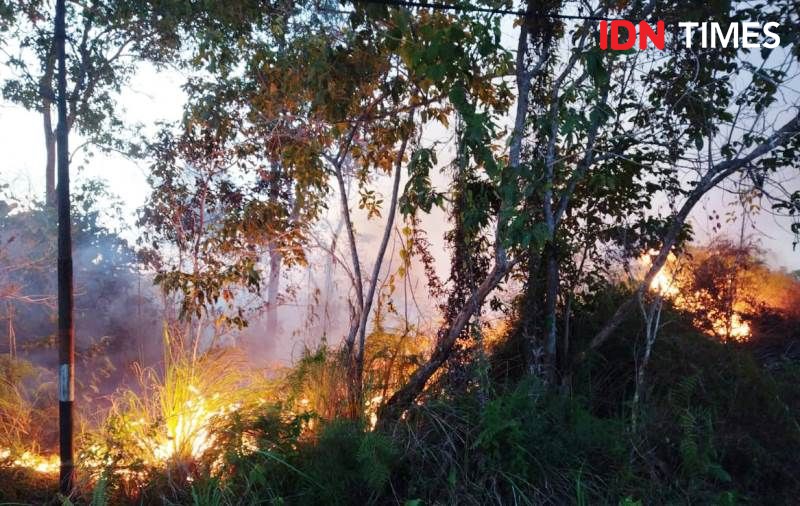 90 Hektare Lahan di Penajam Hangus Terbakar