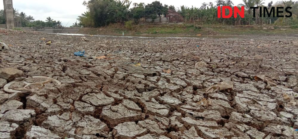 Kemarau Berkepanjangan, Ribuan Warga Lombok Salat Minta Hujan