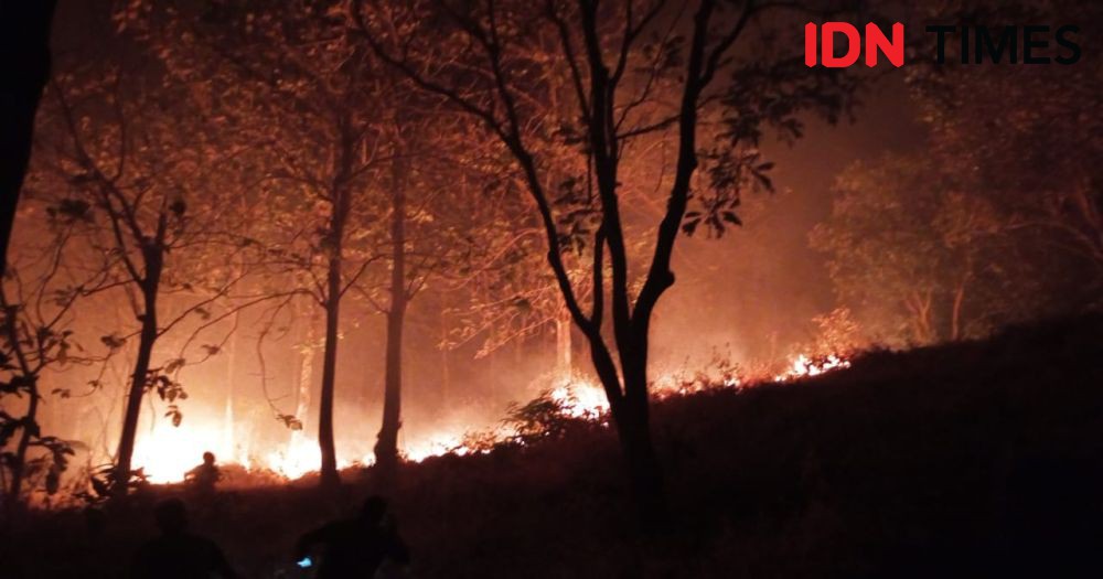 Kebakaran Hutan Hanguskan Empat Hektare Lahan di Majalengka