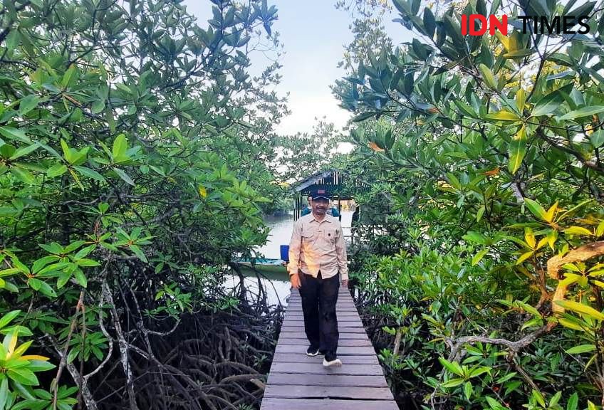 IKN Kembangkan Gua Tapak Raja dan Hutan Mangrove di Mentawir