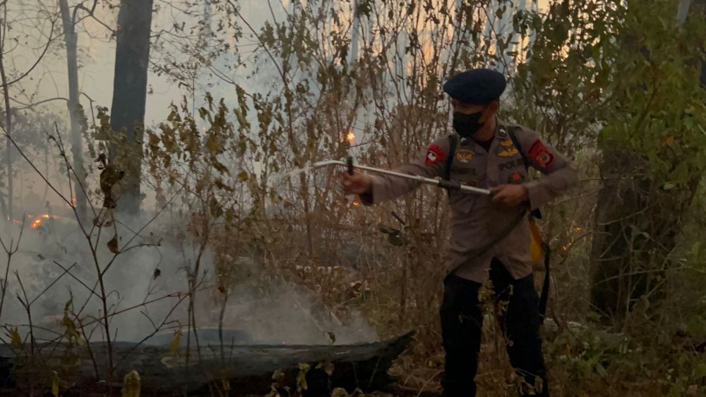 Brimob Polda Sulsel Dikerahkan Padamkan Kebakaran Hutan di Maros