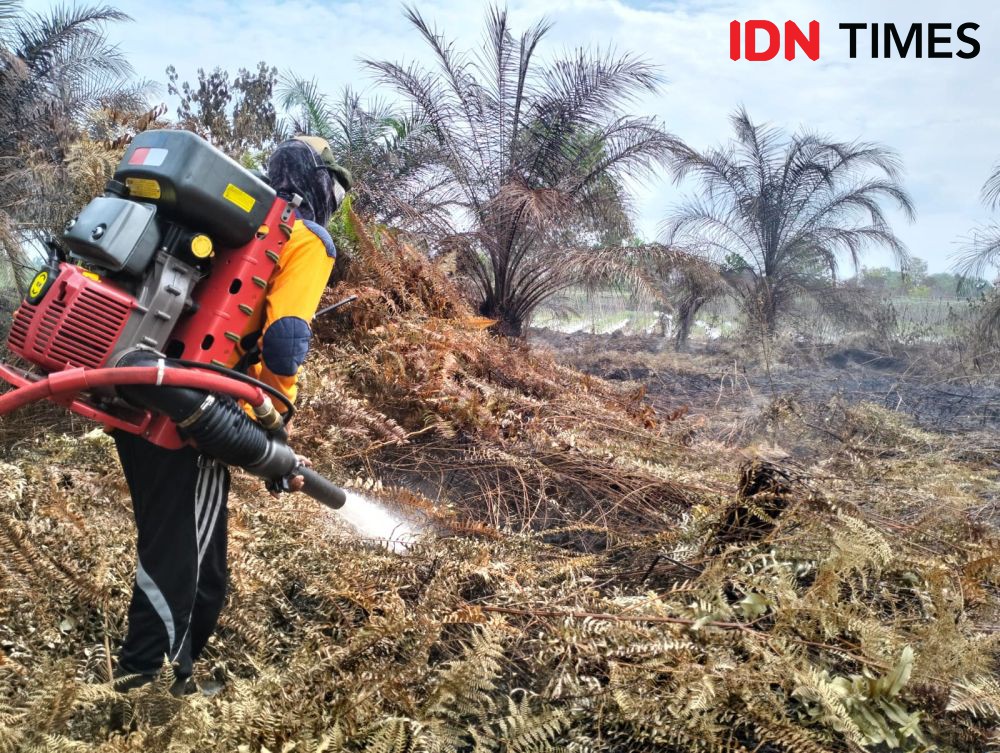 Buang Puntung Rokok Sembarangan, 2 Hektare Lahan Sawit Terbakar