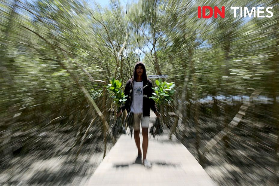 Jejak Inalum di Desa Perupuk, Pantai Sejarah Kini Jadi Wisata Mangrove