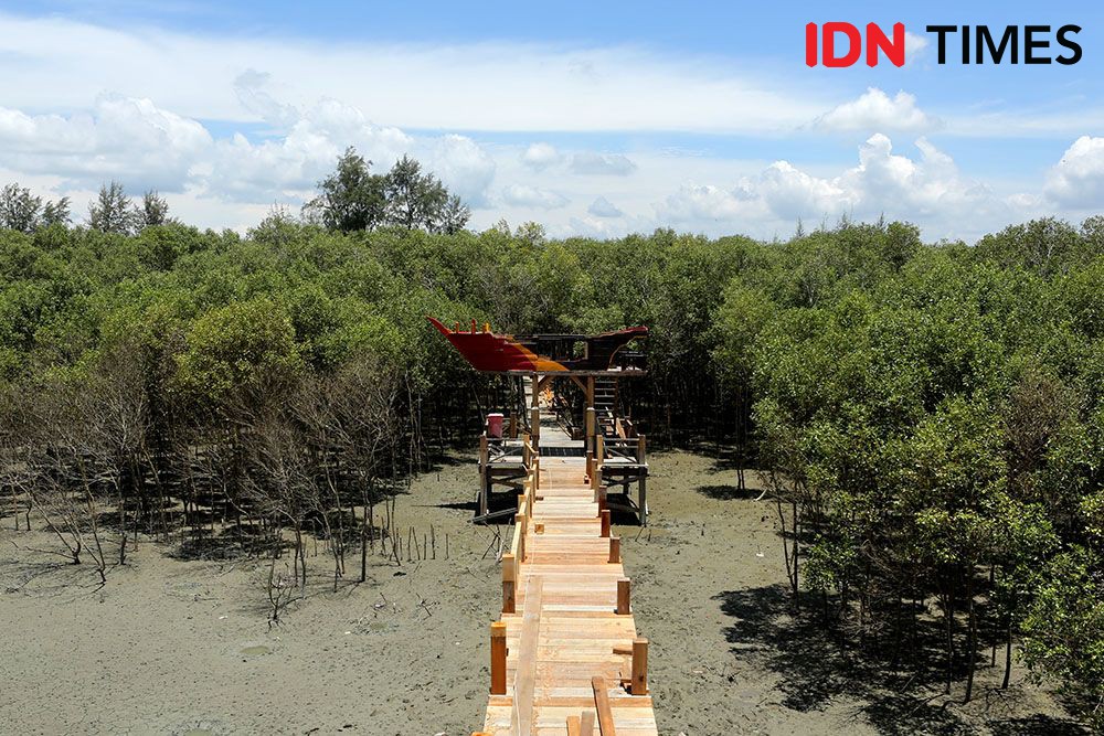 Jejak Inalum di Desa Perupuk, Pantai Sejarah Kini Jadi Wisata Mangrove
